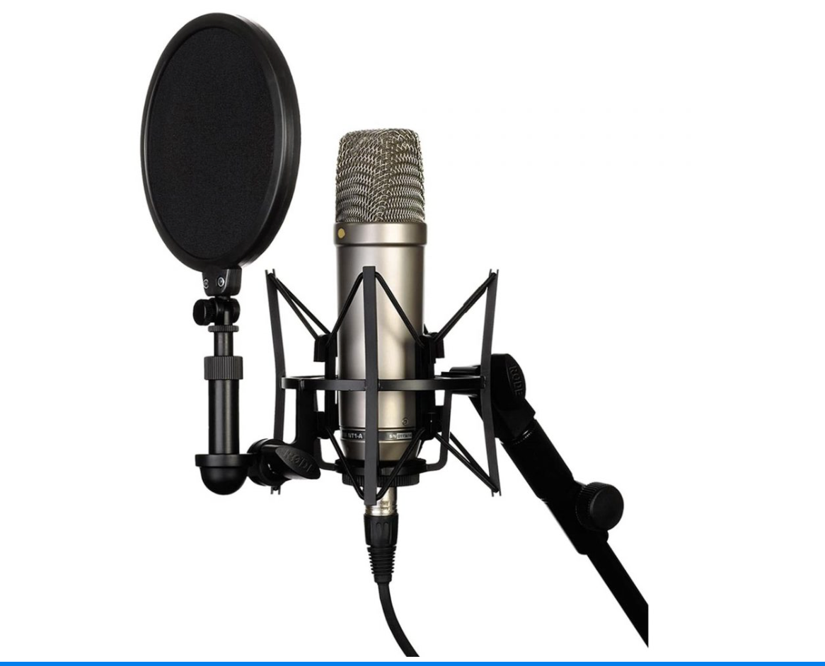 NT1A Podcast Mic